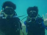 guam8.4a-y1