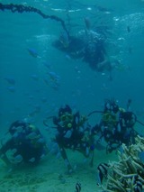 guam8.27i4