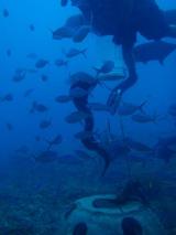 guam5.10u2