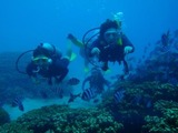 guam1.9i1