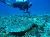 guam3.30b6