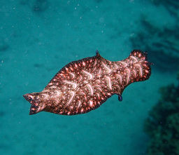 P6150085
