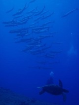 guam9.17b3