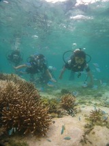 guam8.16i1
