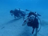 13 guamaqua3
