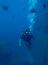 guam4.15intro2