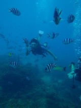 guam7.4i3