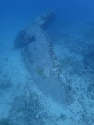P7140011