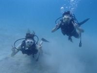13 guamaqua1