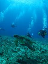 guam6.27ba6