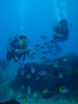 guam9.25i2