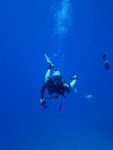 guam2.8b1