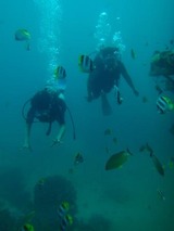 guam8.31i2