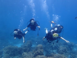PC040089