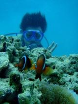 guam10.22i-3