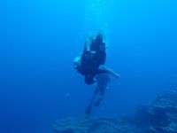 13 guamaqua1