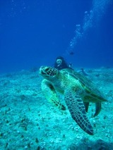 guam9.15b3