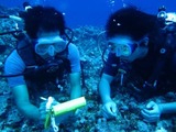 guam6.16b3