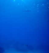 guam2.7i2