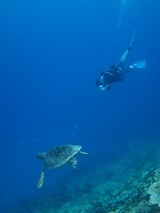 guam7.12b4