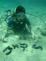 guam5.25i1