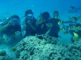 guam10.6i-1