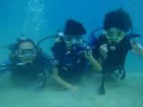 guam8.4o-s1