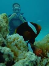 guam7.8i1