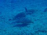 guam5.10k1