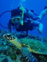 guam5.16o4