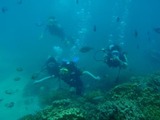 guam8.11i2