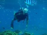 guam2.8i2