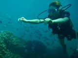 guam7.10i1