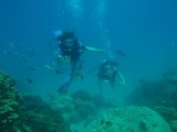guam6.24i4
