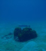 guam4.2ow1