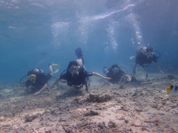 P3120046