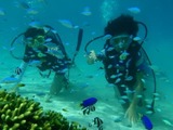 guam7.29i1