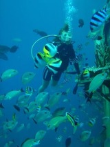 guam7.1i1.jpg