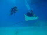 guam3.23ray