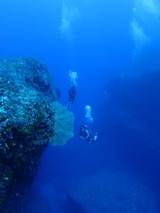 guam4.17b1