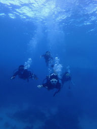 P8130108