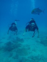guam5.11i1