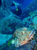 guam6.13o5