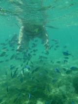 guam6.28e4