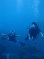 13 guamaqua2