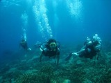 guam8.16i2