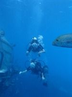 13 guamaqua5