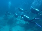 guam8.31b9.jpg