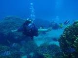 guam4.9i2.jpg