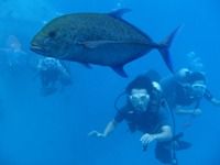 13 guamaqua4